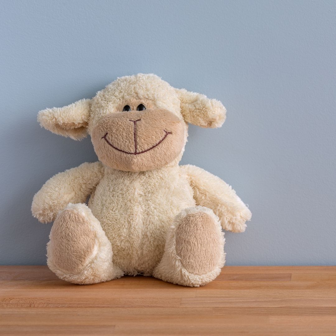 Stuffed Animal or Doll