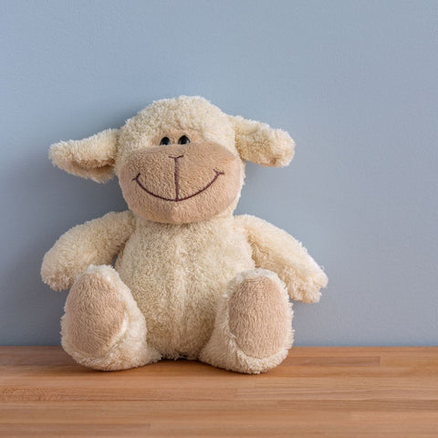 Stuffed Animal or Doll