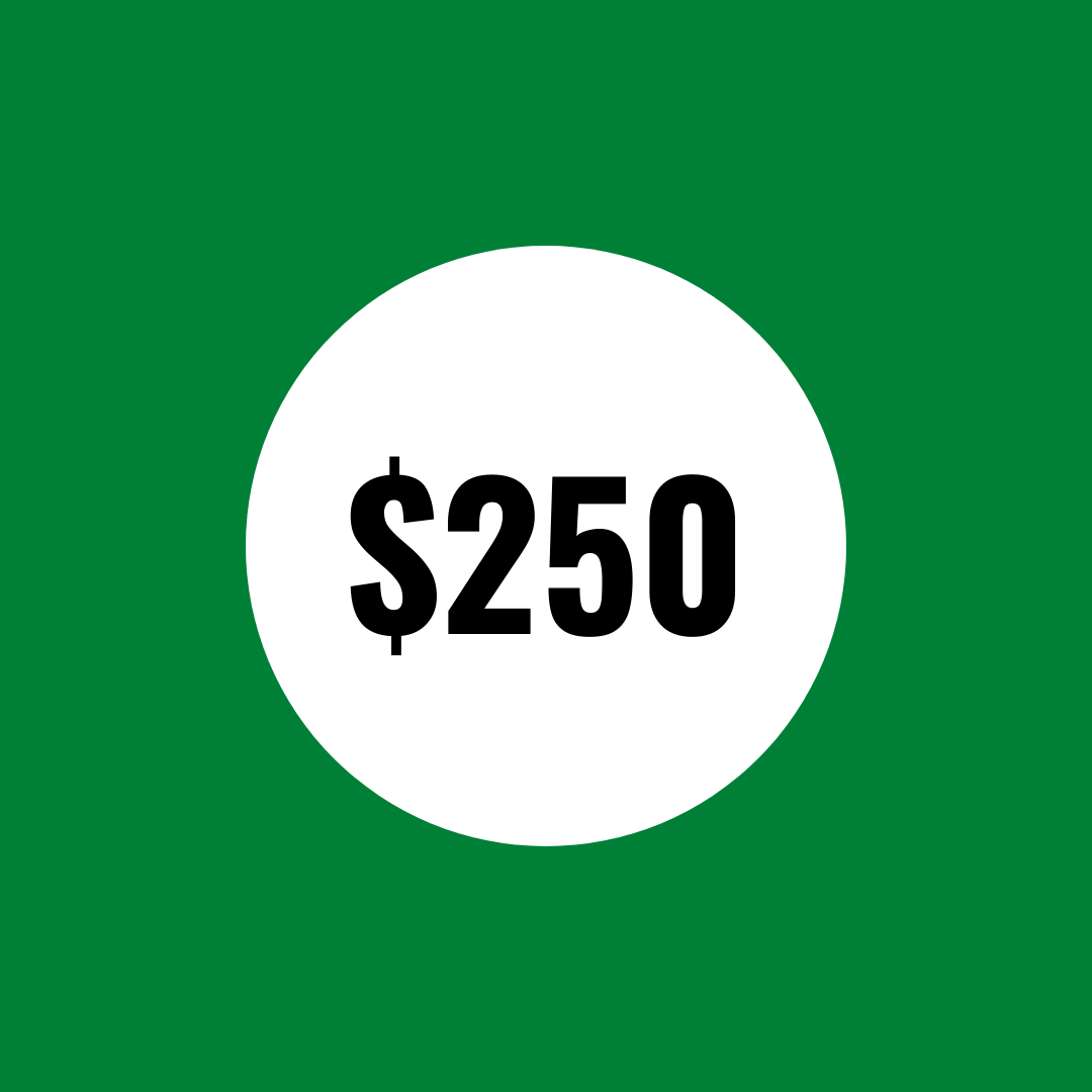 $250 in support of the OMOP Fund Greatest Needs